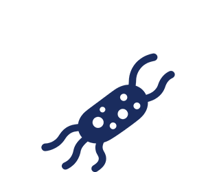 Bacterias | TCP Control de plagas