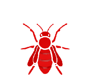 Avispas | TCP Control de plagas