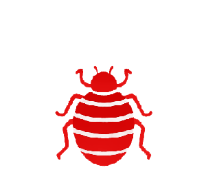 Chinches | TCP Control de plagas