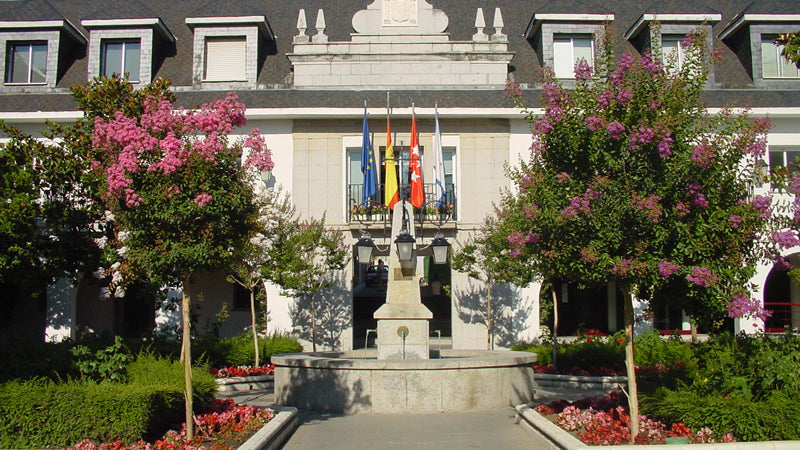 Control de plagas en Majadahonda