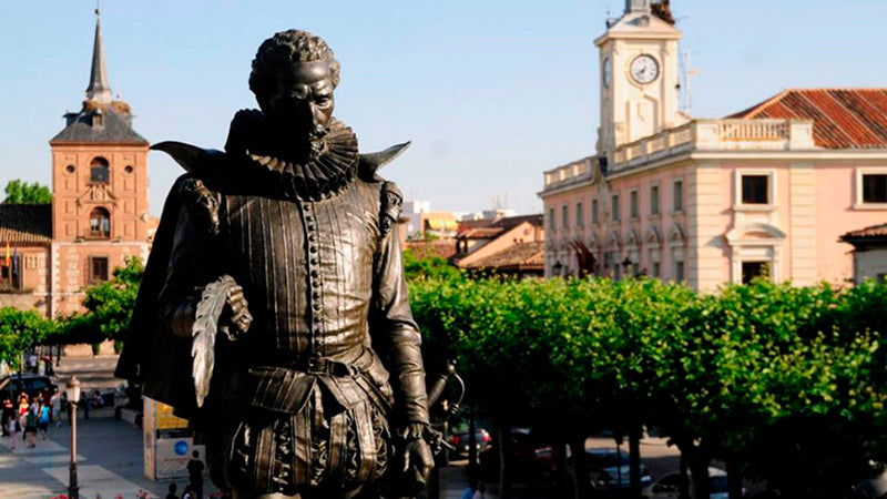Control de Plagas en Alcalá de Henares Cervantes