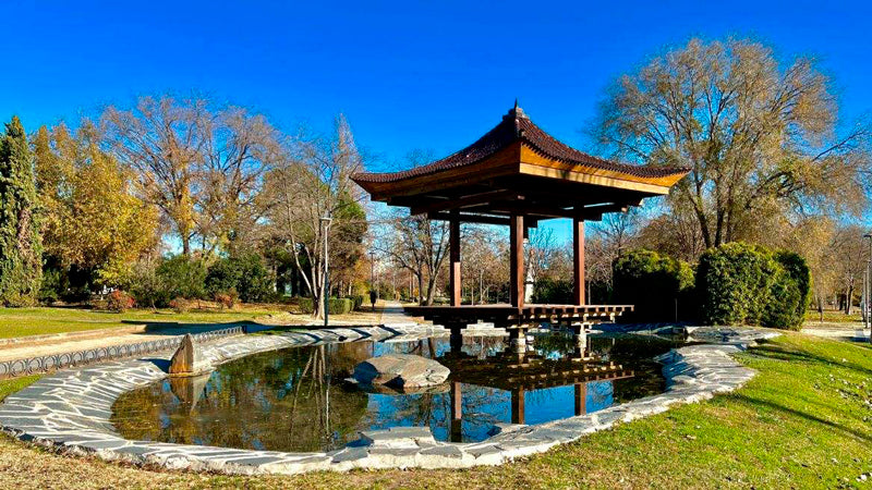 Control de Plagas en Alcobendas Arroyo de la Vega