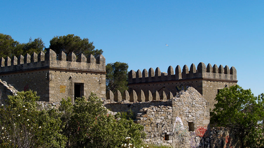 Control de Plagas en Alpedrete Castillo