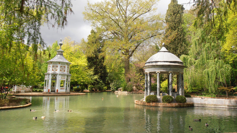 Control de Plagas en Aranjuez Jardines
