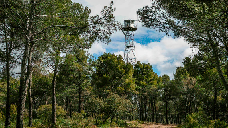 Control de Plagas en Arganda del Rey Dehesa