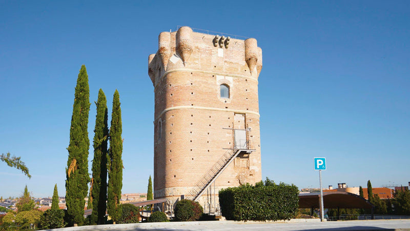 Control de Plagas en Arroyomolinos Torreon