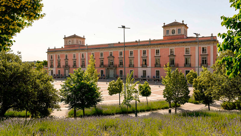 Control de plagas en Boadilla del Monte