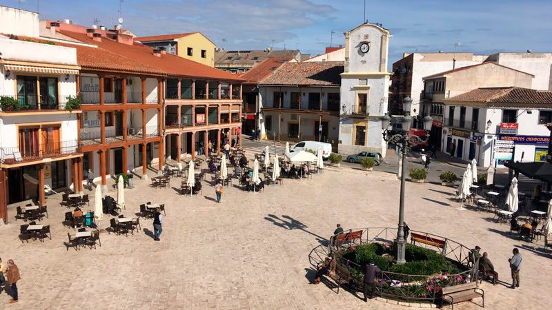 Control de Plagas en Ciempozuelos