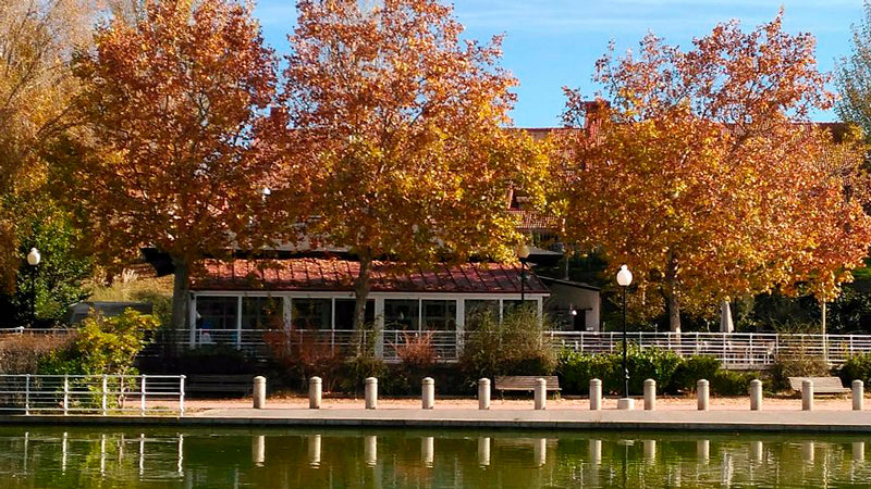Control de Plagas en Collado Villalba 