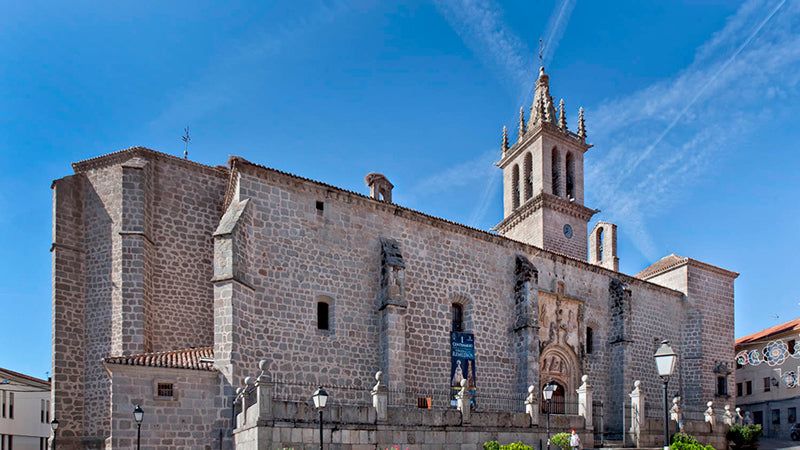Control de Plagas en Colmenar Viejo Basílica