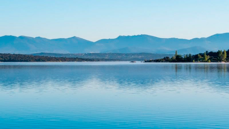 Control de Plagas en Colmenarejo Embalse