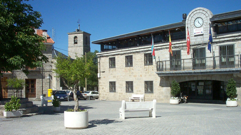 Control de Plagas en Colmenarejo
