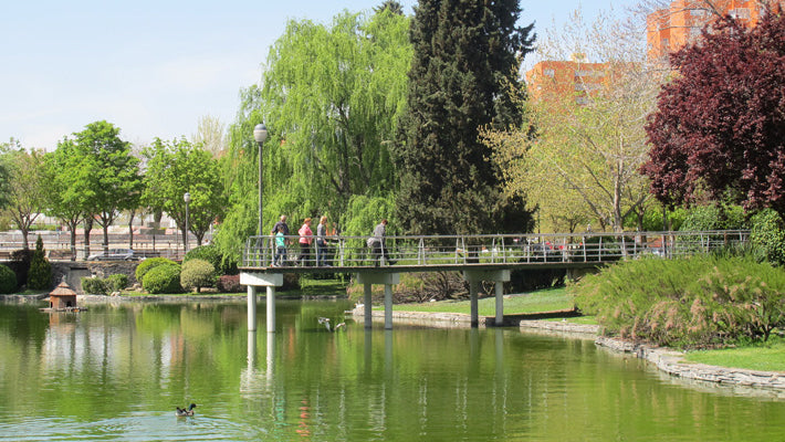 Control de Plagas en Coslada Lago