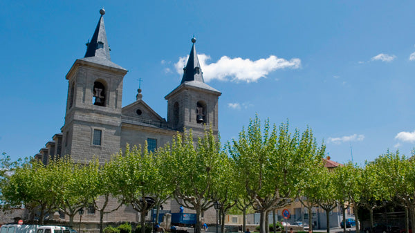Control de Plagas en El escorial Iglesia