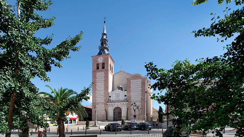 Control de Plagas en Getafe Iglesia