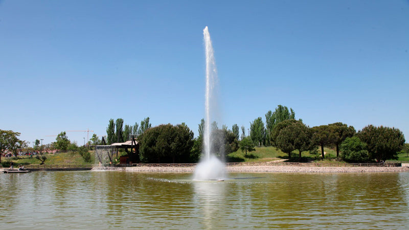 Control de Plagas en Getafe Parque