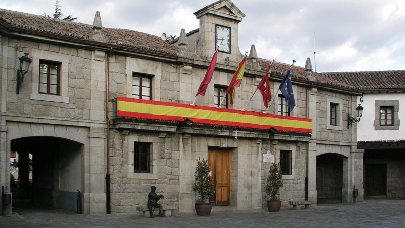 Control de Plagas en Guadarrama Ayuntamiento