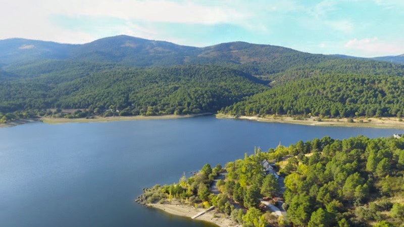 Control de Plagas en Guadarrama Embalse