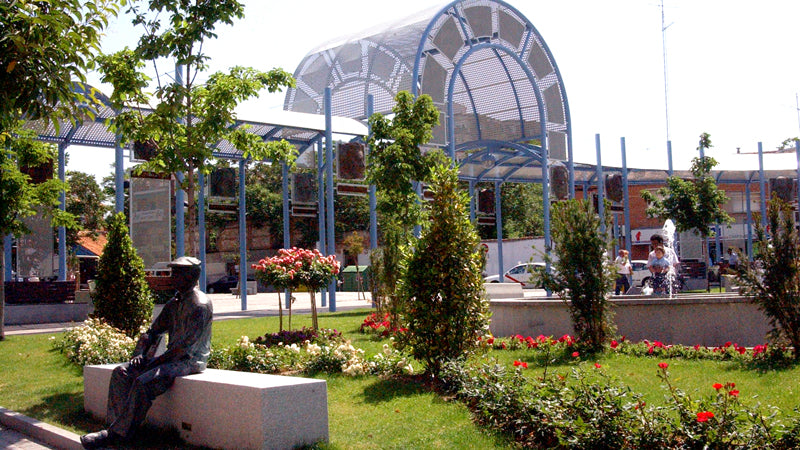 Control de Plagas en Móstoles Pradillo
