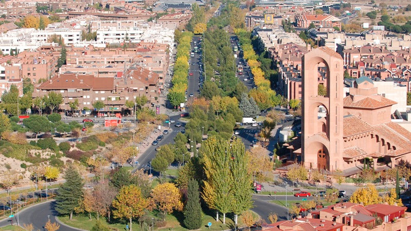 Control de plagas en Pozuelo de Alarcón