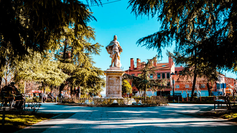 Control de Plagas en San Fernando de Henares