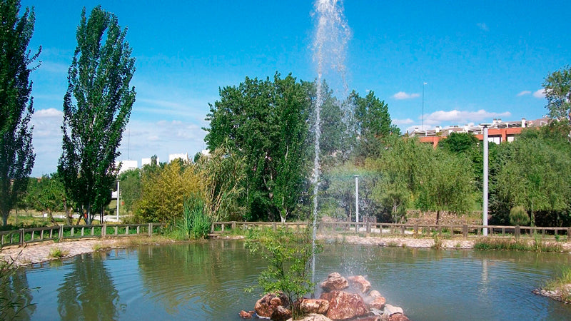 Control de Plagas en San Sebastián de los Reyes parque