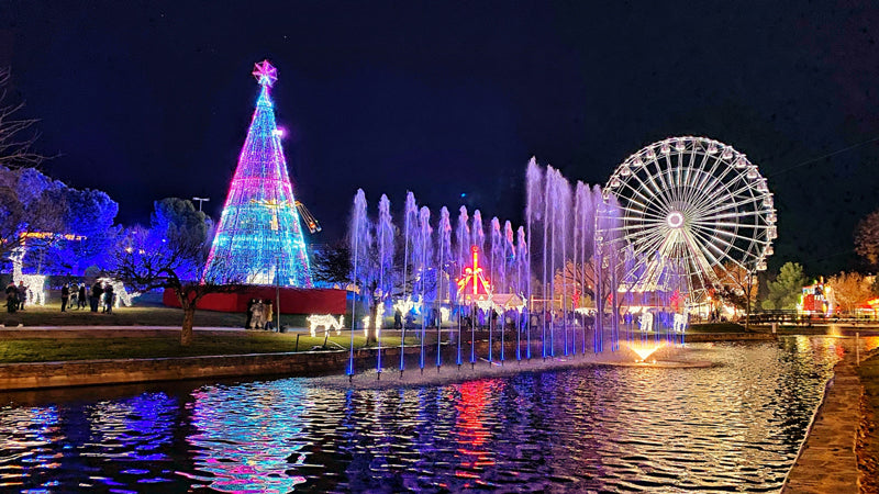 Control de Plagas en Torrejón de Ardoz Navidad