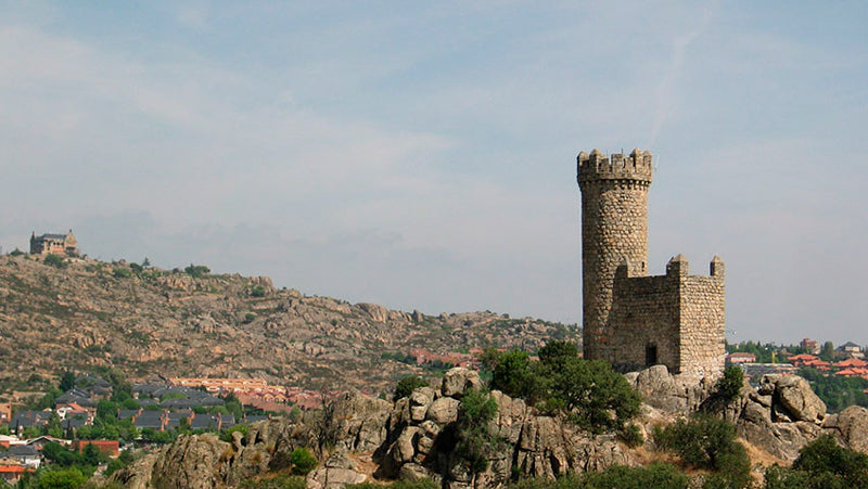 Control de Plagas en Torrelodones Castillo