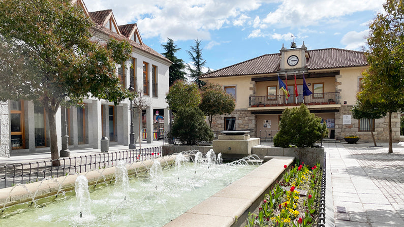 Control de Plagas en Torrelodones 