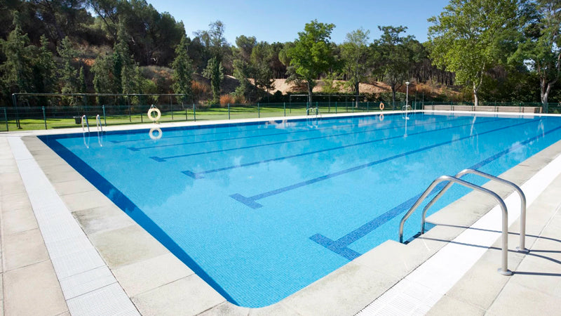 Control de plagas en Madrid tratamiento piscinas