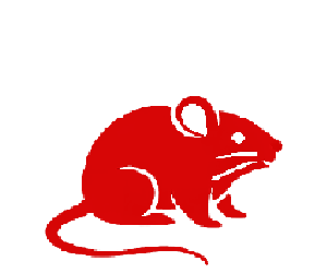 Ratones | TCP Control de plagas